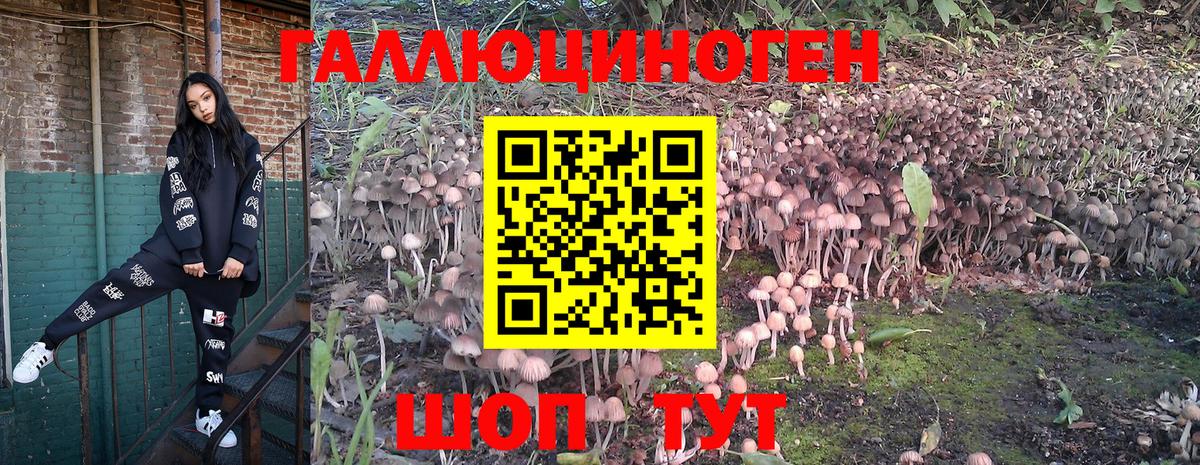 Галлюциногенные грибы GOLDEN TEACHER  что такое наркотик  Псилоцибиновые грибы прущие грибы  Партизанск  Вход с VPN 