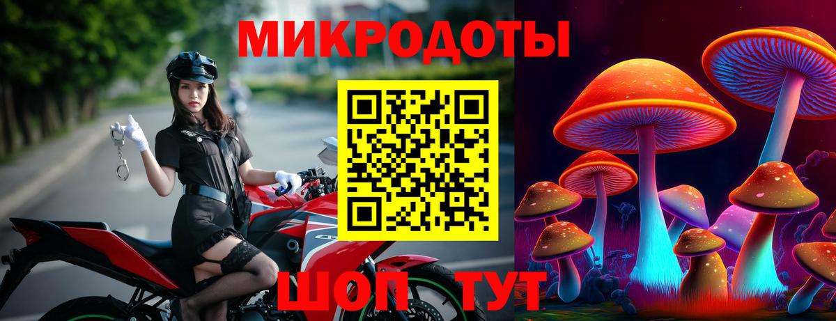 Галлюциногенные грибы Cubensis Партизанск